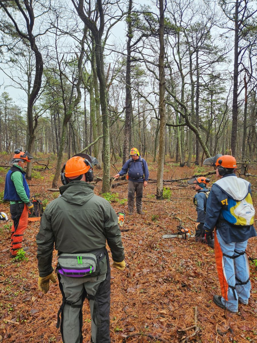 chainsaw training
