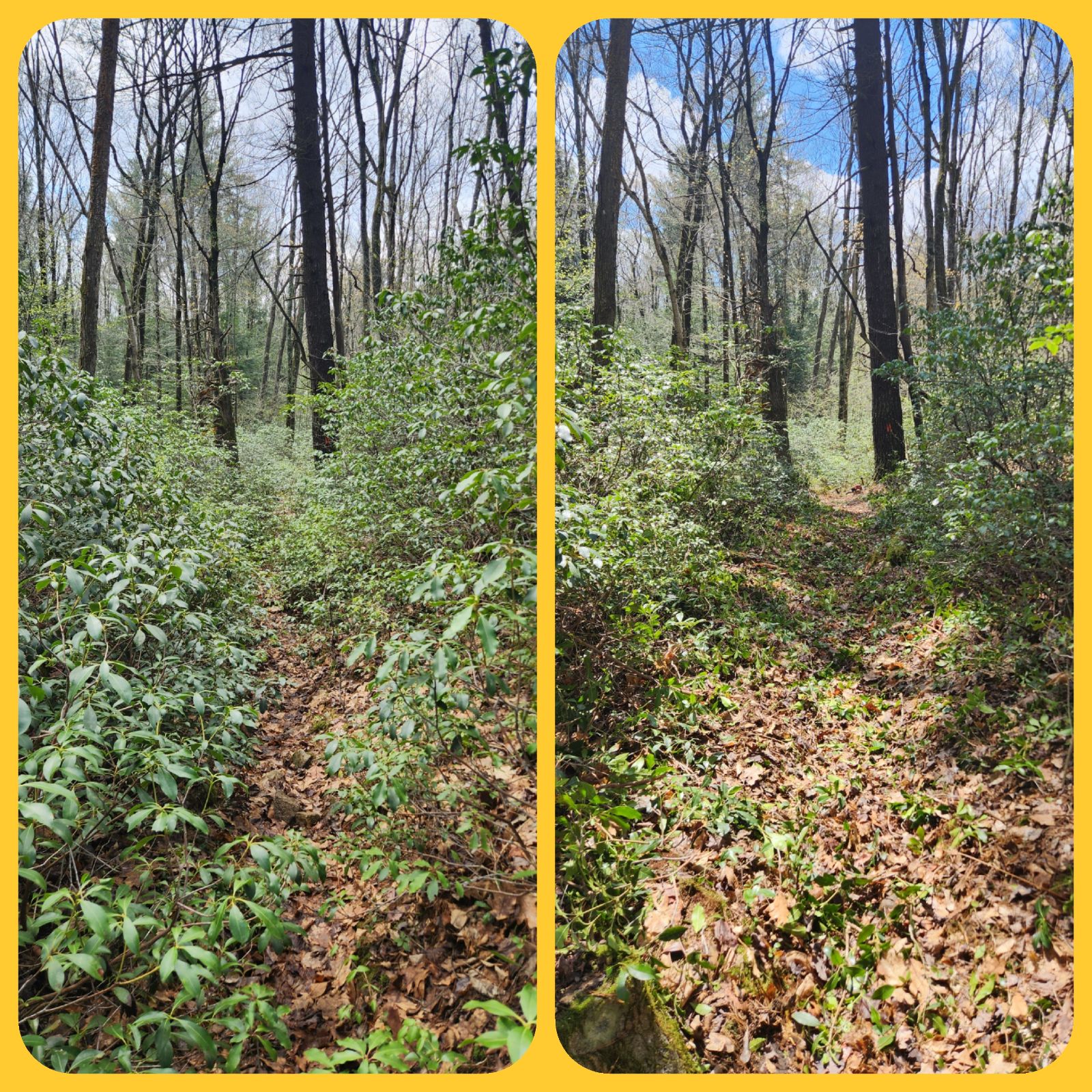 Before and After on the CKT! 