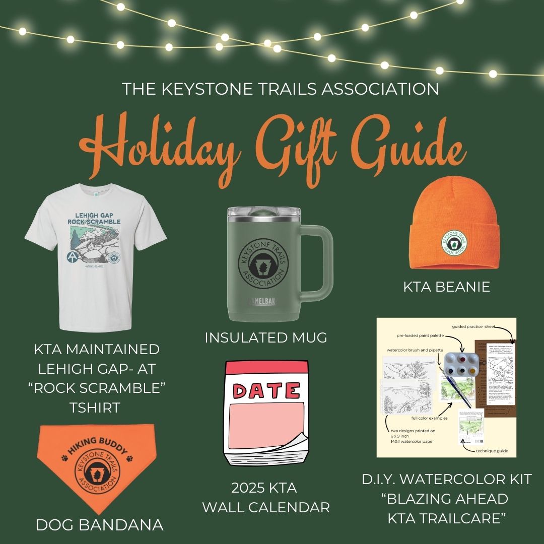 Green%20Classy%20Christmas%20Gift%20Ideas%20Instagram%20Post%20(2).jpg