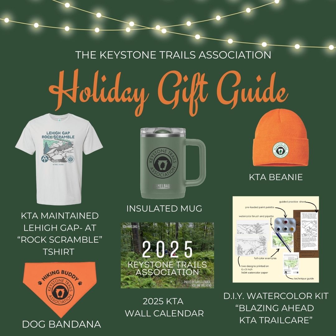 Green%20Classy%20Christmas%20Gift%20Ideas%20Instagram%20Post%20(3)(1).jpg