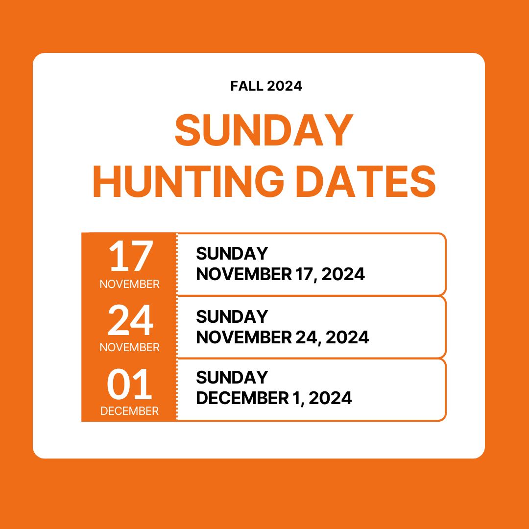 Orange%20Modern%20Upcoming%20Schedule%20Instagram%20Post%20(2).jpg