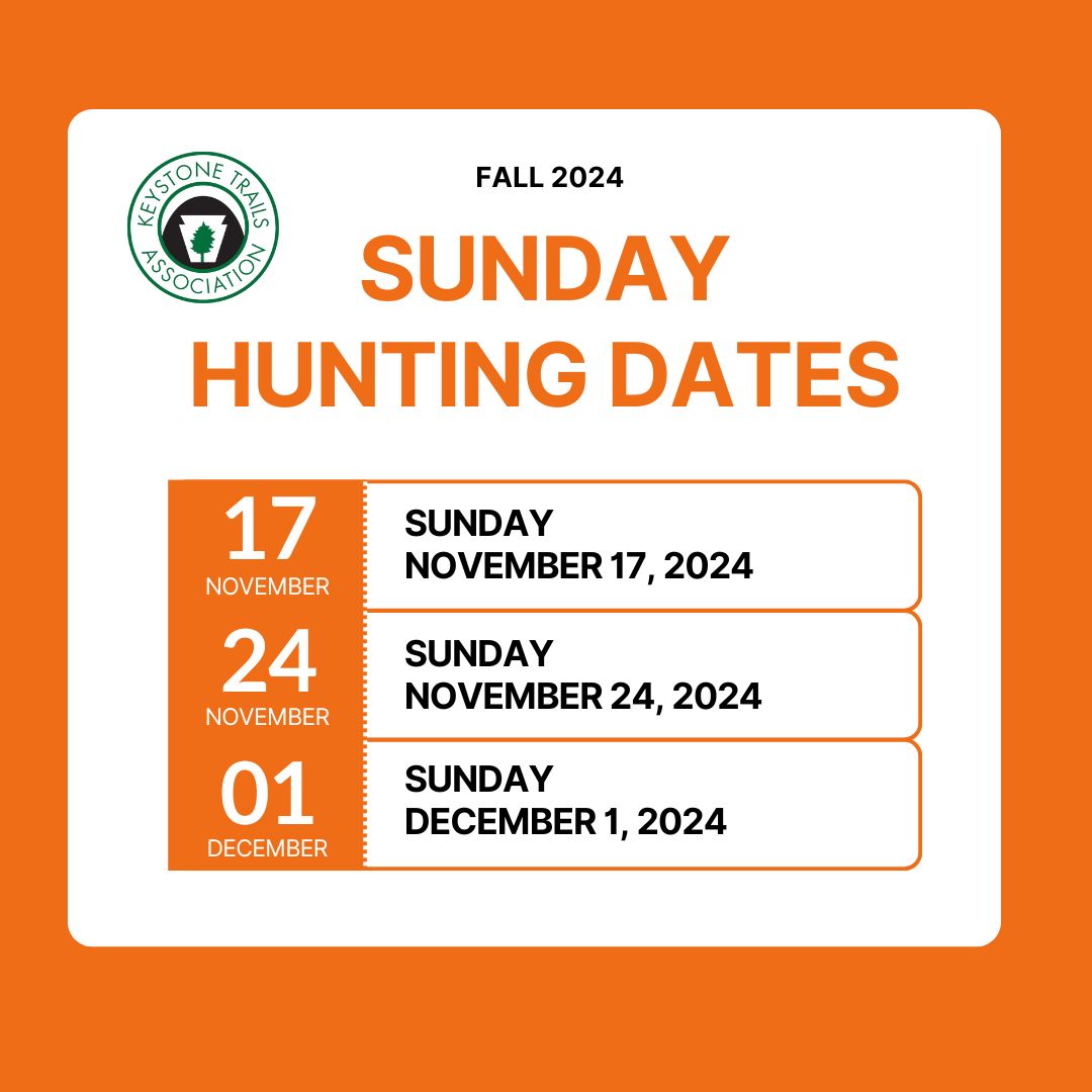 Orange%20Modern%20Upcoming%20Schedule%20Instagram%20Post.jpg