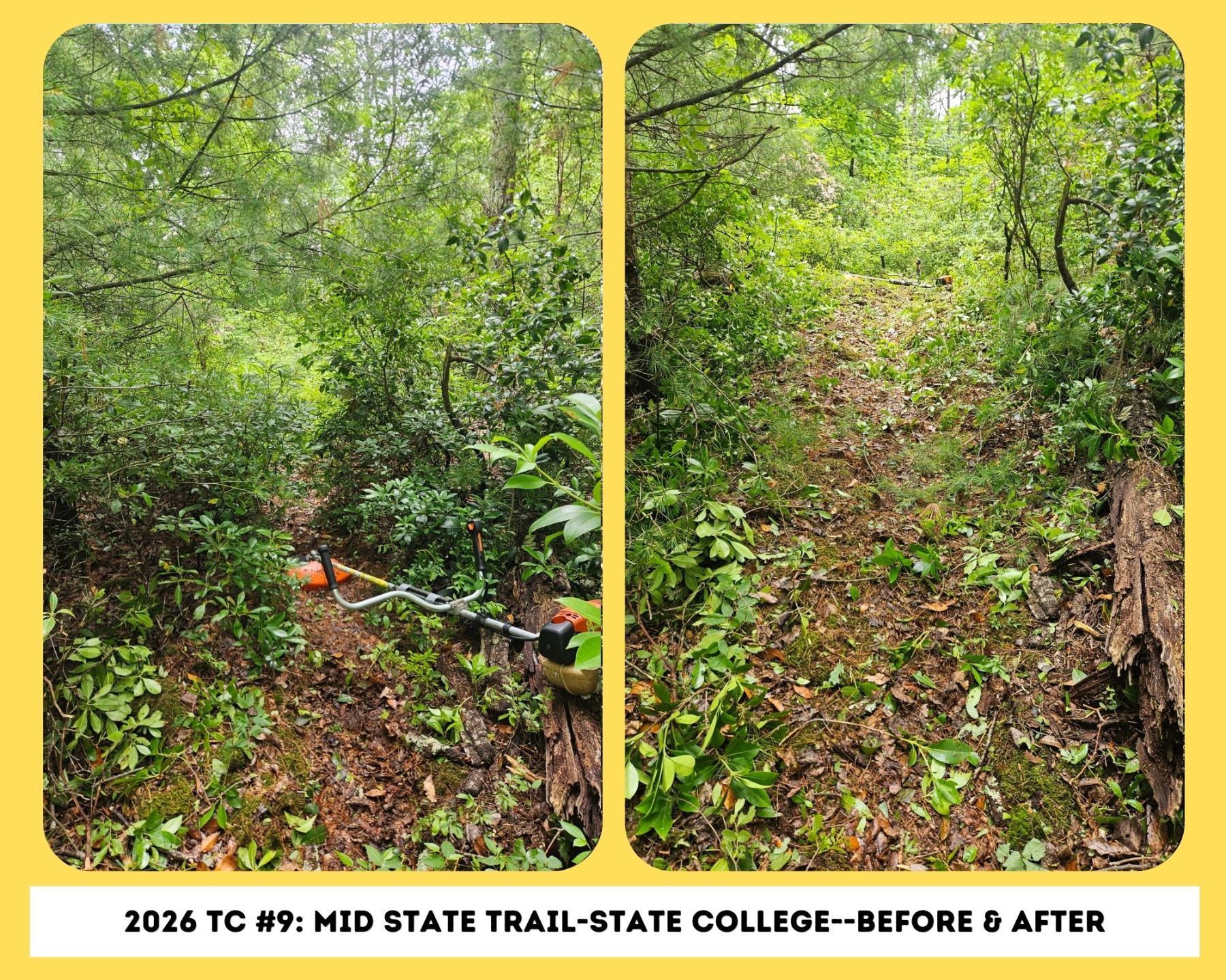 Trail%20Care%20Before%20%26%20Afters.jpg