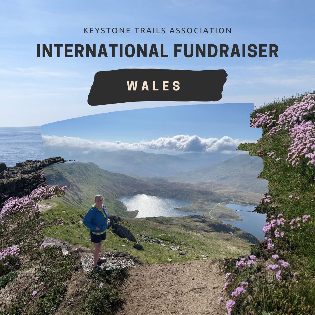 Wales%20international%20fundraiser%20.jpg