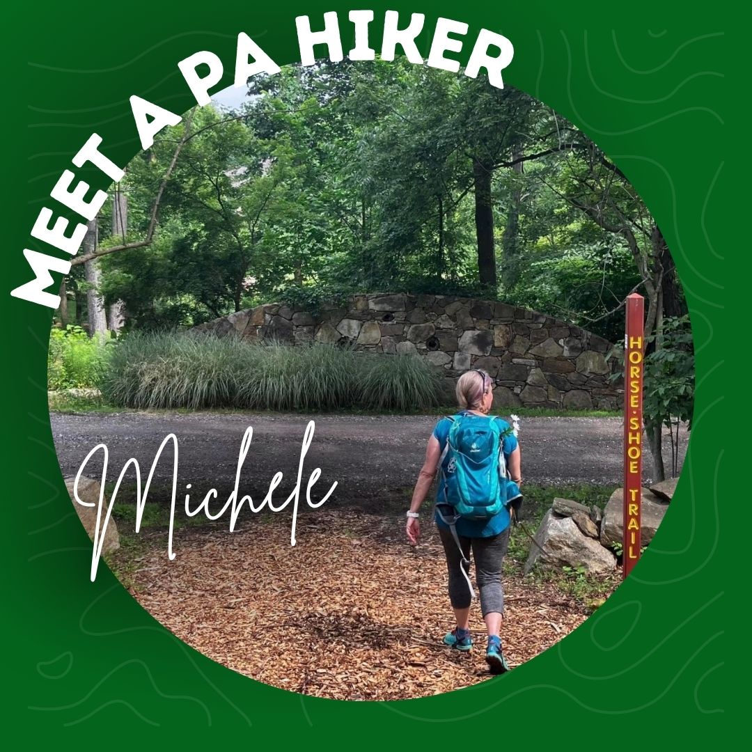 michele-cook_orig.jpg