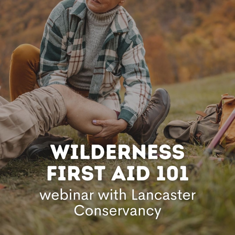 What is Wilderness First Aid?