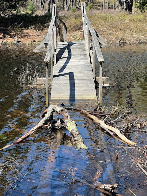 qt-beaver-run-bridge-pic-1-1_orig.jpeg