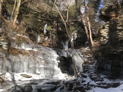 Fundraising Page Image